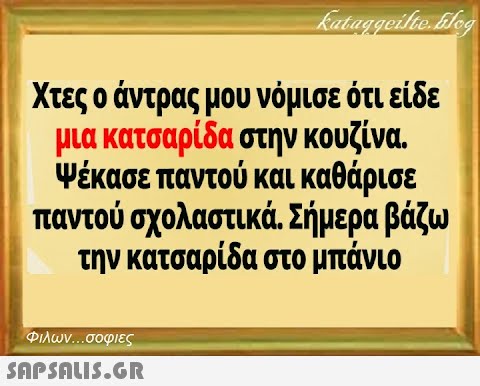 Χτες ο άντρας μου νόμισε ότι είδε μια κατσαρίδα στην κουζίνα. Ψέκασε παντού και καθάρισε παντού σχολαστικά. Σήμερα βάζω την κατσαρίδα στο μπάνιο Φιλων σοφιες SnpSnLIS.GR