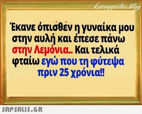 Έκανε όπισθέν η γυναίκα μου στην αυλή και έπεσε πάνω στην Λεμόνια.. Και τελικά φταίω εγ που τη φύτεψα πριν 25 χρόνι!