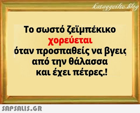 kataggeilte.blog Το σωστό ζεϊμπέκικο χορεύεται όταν προσπαθείς να βγεις από την θάλασσα και έχει πέτρες.!