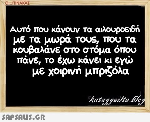 0..ΠΙΝΑΚΑΣ Αυτό που κάνουν τα αιλουροειδή με τα μωρά τουS, που τα κουβαλάνε στο στόμα όπου με χοιρινή μπριζόλα