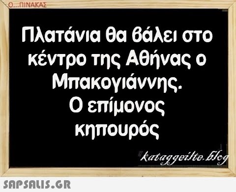 0..ΠΙΝΑΚΑΣ Πλατάνια θα βάλειστο κέντρο της Αθήνας ο Μπακογιάννης. Ο επίμονος κηπουρός